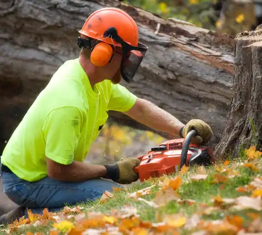 tree services Missoula